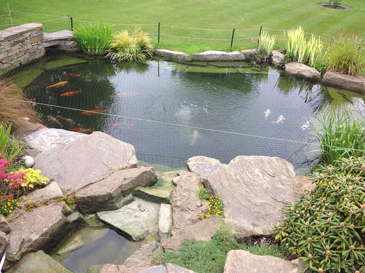 Mini digger hire in Newham for pond excavation and groundworks