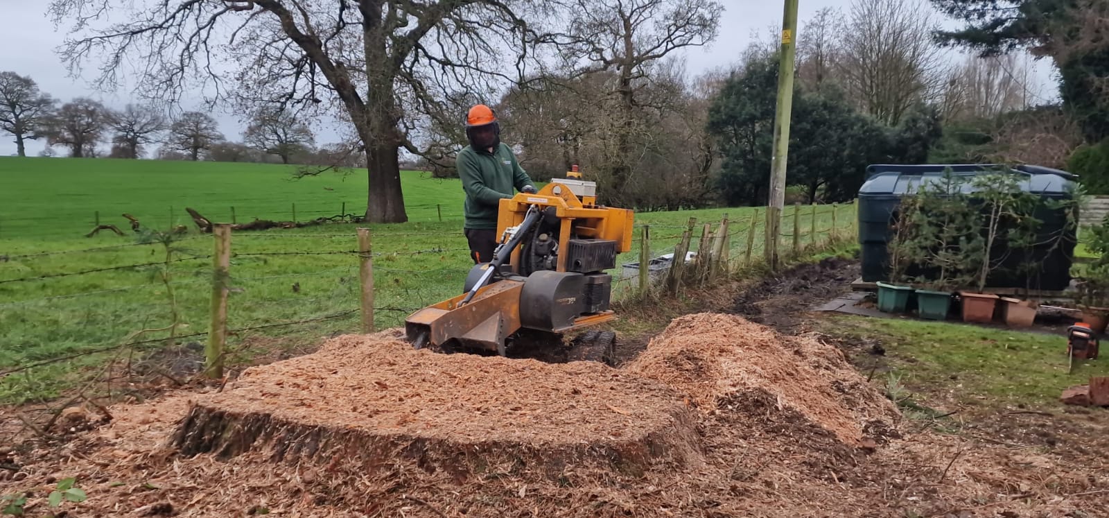 Tree stump removal service in Newham with stump grinder